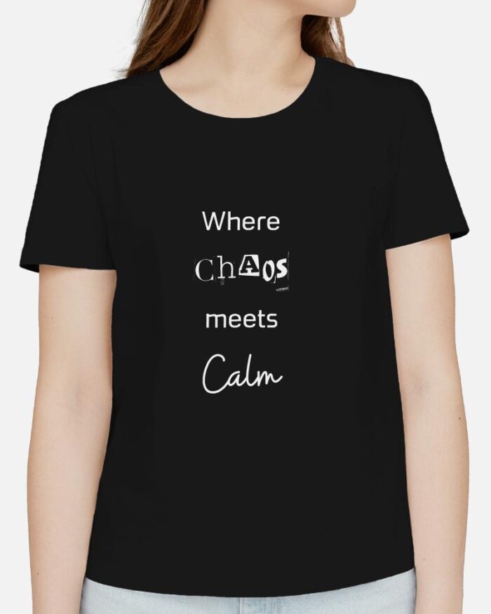 Where Chaos Meets Calm - Image 2